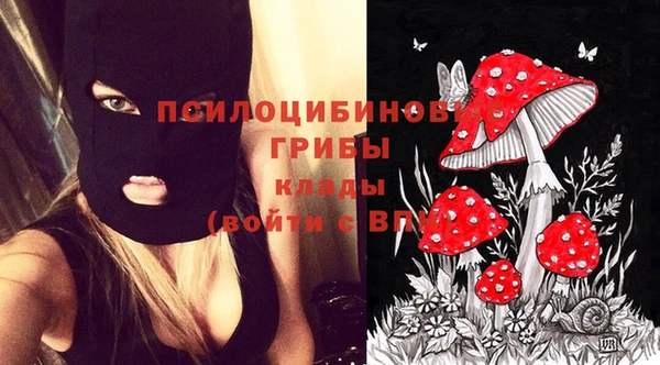 МДПВ Вязники