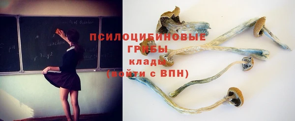 экстази Вяземский