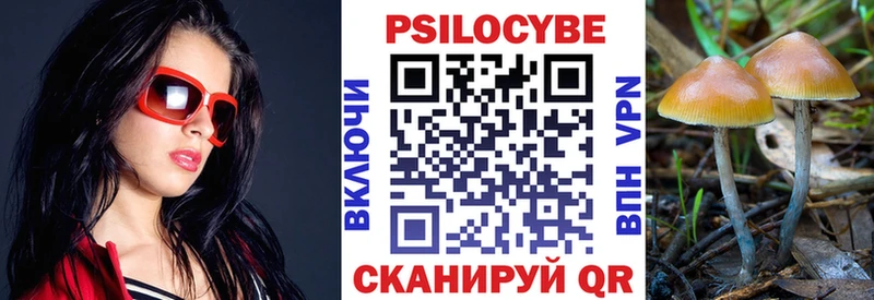 Псилоцибиновые грибы Cubensis Подпорожье