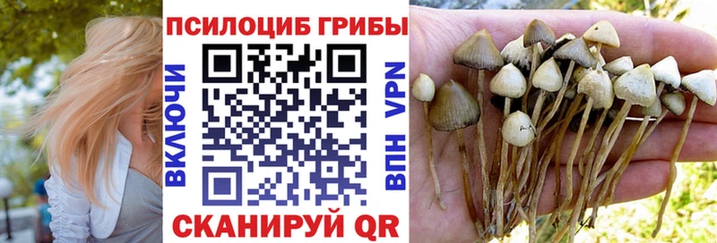 Купить  Подпорожье  Псилоцибиновые грибы MAGIC MUSHROOMS 