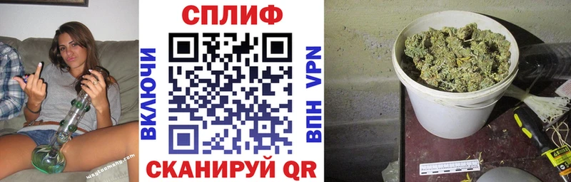Купить закладки  Подпорожье  Марихуана Amnesia 